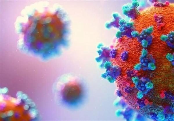 50 مورد مبتلا جدید به کرونا ویروس ، یک مورد فوتی