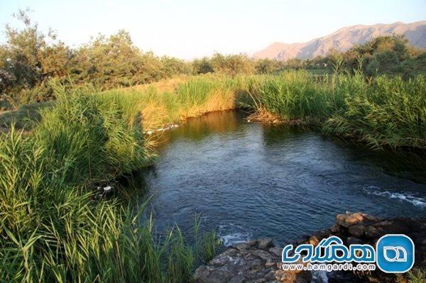 چشمه گمبان یکی از جاذبه های گردشگری استان فارس است