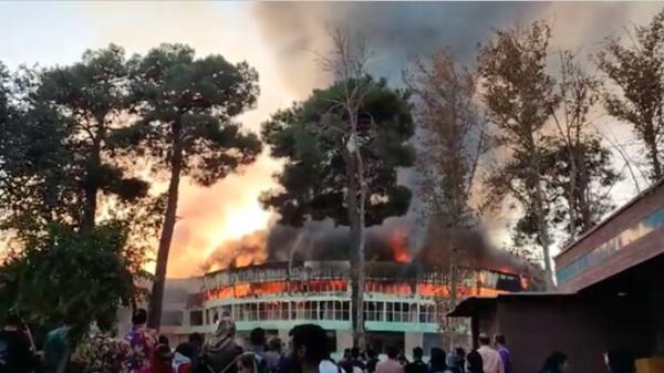 ببینید ، آتش سوزی گسترده در پارک ارم ، دلیل حریق اعلام شد